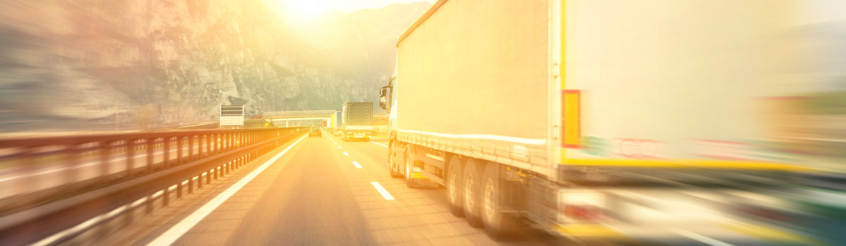 fzv - Newsletter / Zoll Revue Headerimage-Small